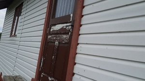 Скопление мух на сайдинге!