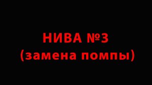 Нива №3 (замена помпы)