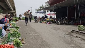 Single mother: Baby Nguyen needs to go to the hospital urgently - Harvesting gourds | Ly Thi Duyen