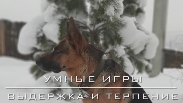 Выдержка и терпение!