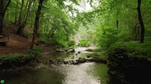 Красивая расслабляющая музыка для снятия стресса – Расслабляющая музыка для духовного исцеления