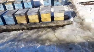 ОБЛЁТ!!! 19.03.2024!!!