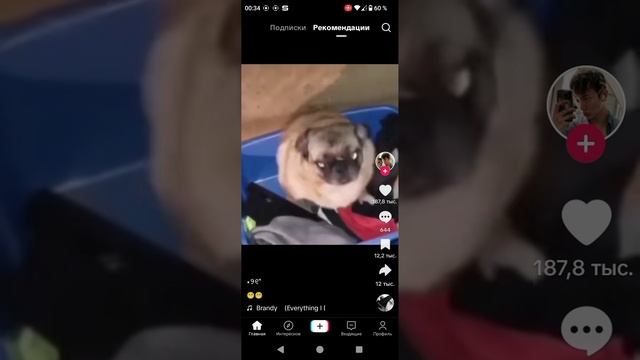 смешные животные часть 1 смотреть онлайн