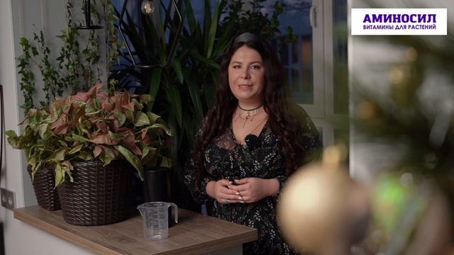 С приходом зимы кажется, что всё вокруг замирает. В том числе и наши комнатные растения.