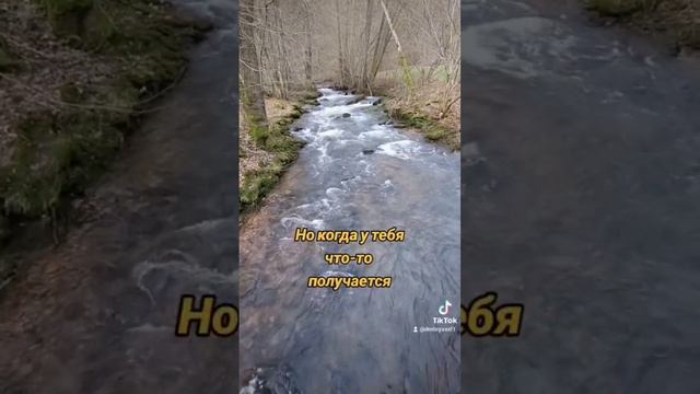 У каждого свой путь #саморазвитие #цитата #смысл #жизнь #мудрость #мудрыеслова #словасосмыслом смотреть онлайн