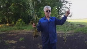 Агрономы бывают разные! Знаю я вас всех. Агро извращенцев. Жуков КубНИИТИМ