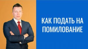 Адвокат в Москве: Что Такое Помилование и Как Подать Ходатайство о Помиловании