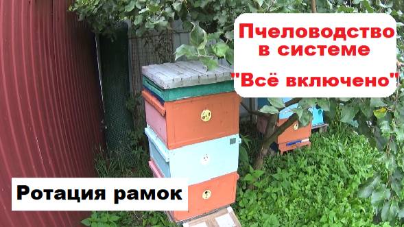 Ротация рамок в системе пчеловодства "Всё включено".