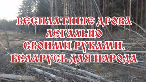 Готовим дрова.Дешево, самостоятельно.Спасибо лесхозу. Хуторок Заречный. Жизнь в лесу на речке