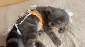 НорильскМой деньЖалко кошкуГотовлюсь к зиме⛄️