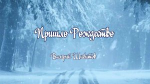 ПРИШЛО РОЖДЕСТВО. Валерий Шибитов