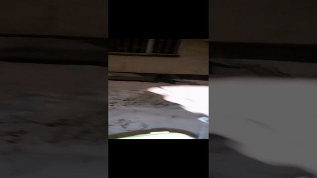 Вышли по утру.