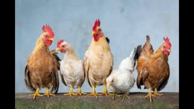 5 января - Федулов день. Традиции и Народные приметы