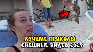 ЗАСМЕЯЛСЯ ПОДПИСАЛСЯ😂  Тест на Психику Челендж  ЛУЧШИЕ ПРИКОЛЫ 2024 года  УГАР #114