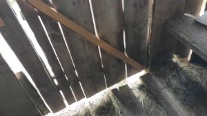 Второй месяц без работы, полёт нормальный