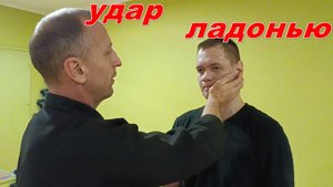 Нокаутирующий удар ладонью