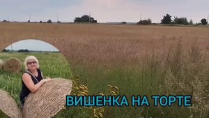 ВОТ И СПАЛИЛАСЬ ВРЕДИНА. VREDINA LIFE. ОБЗОР.