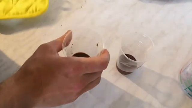Домашнее мороженое - вкусный пломбир
