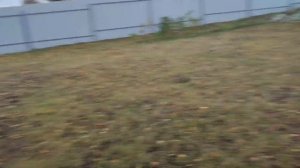 СКВАЖИНА В ВОЛОГДЕ. Колодцы пусты, абиссинская скважина это выход по водоснабжению дома.