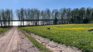 Коттеджный поселок Вишневский берег, Выборгский район Ленинградской области, май 2024, ч. 2