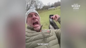 Worst Fails of the Year | Try Not to Laugh 💩 - FailArmy