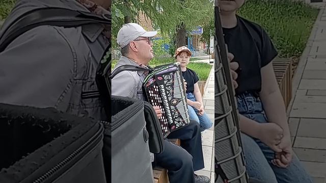 Лесной олень.