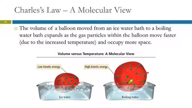 5.3 The Simple Gas Laws: Boyles Law Charless Law  Avogadros Law