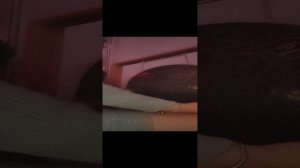 ЗВУКОТЕРАПИЯ
