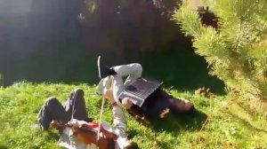 Вкратце о правильной посадке гармониста и постановке скрипача )