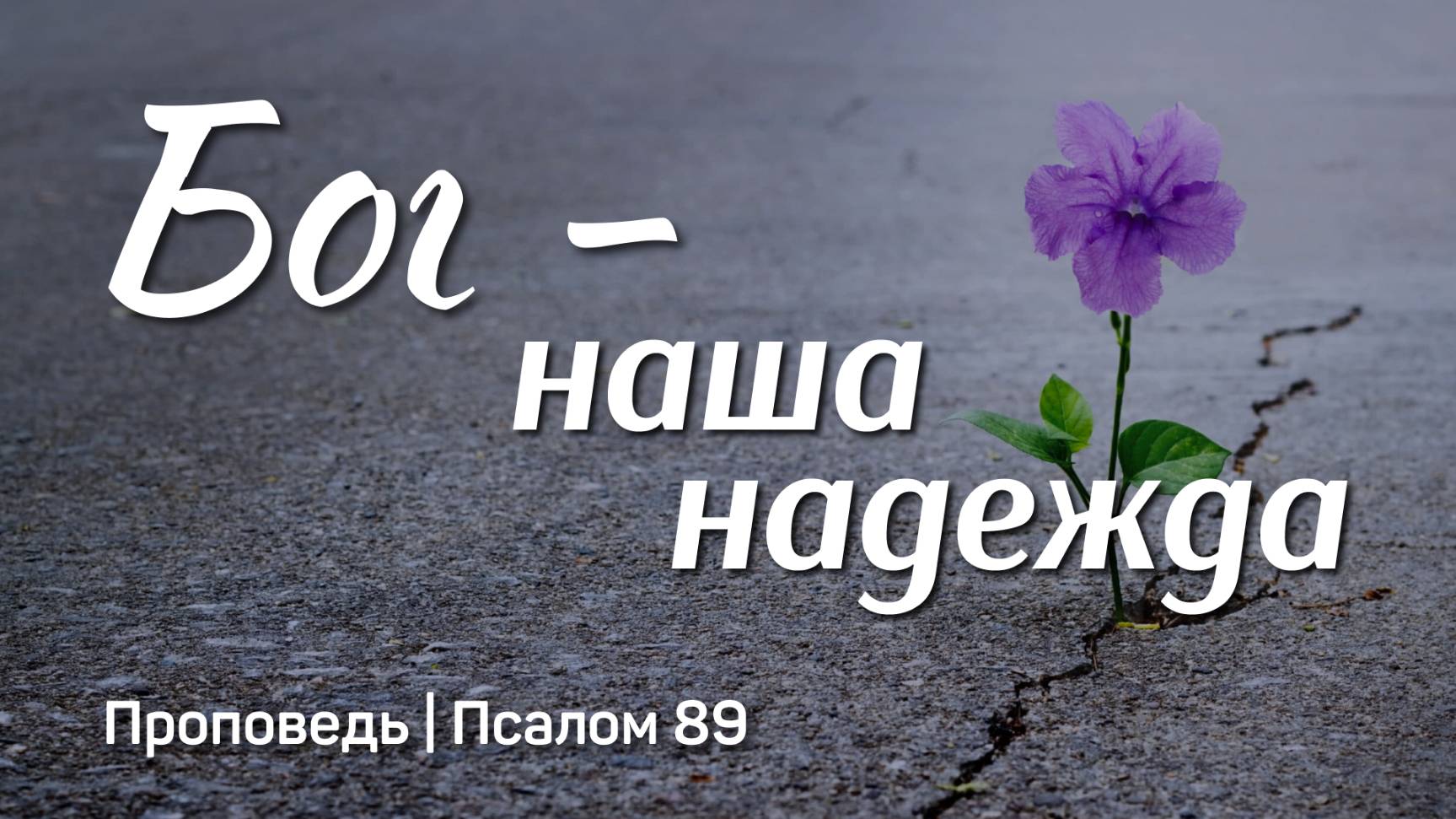 Бог - наша надежда | Псалом 89 | Александр Наумов | 5 января 2025 г.