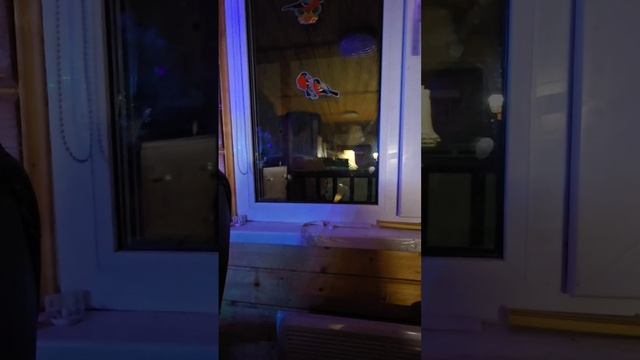 Добилась своего