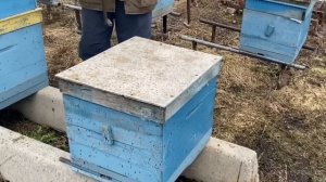 ПЕРВЫЙ ОБЛЁТ ПЧЁЛ 17.03.2023!!!  ЗАМЕНА ДОНЬЕВ!!!