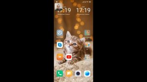 Превышено количество допустимых запросов ВК