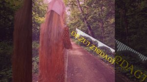 Бехтарин суруди Эрони ошики 2021🎶Дустат дорам❤Очень красивый Иранский песня про любовь ❤