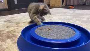 Норильск/Отморозить лицо…легко⁉️Балую девочку❤️Девичник в ресторане Норильск.