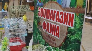 Грозный. Ярмарка Lavanda в ТРЦ "Грозный молл"