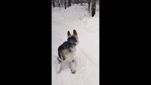 Колыбельная