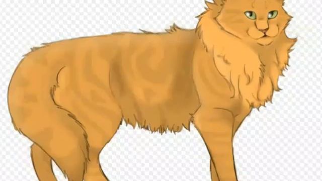Коты воители. Грозовое племя  1 часть