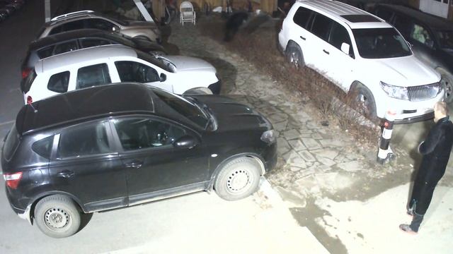 Собака через кусты скакака смотреть онлайн