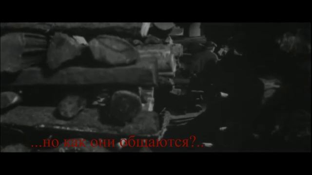 «Зеленые цепочки»