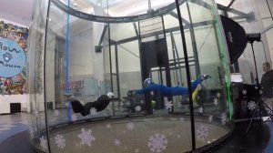 02.01.2025 Аэротруба "Flow Moscow"