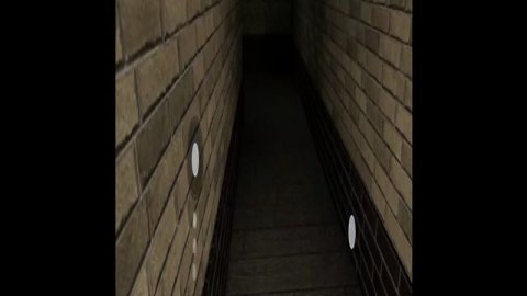 играем в популярную игру 😁