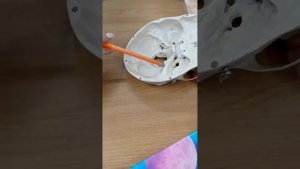 Анатомия . Наружние и внутренние отверстия черепа