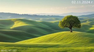 976 День рождения 02.11.2024 г