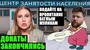 Волонтёры ФБК* против наёмников Ходорковского**. Поток донатов остановился (*экстремист/**иноагент)