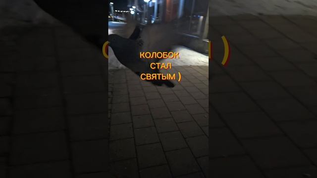 СВЯТОЙ КОЛОБОК