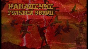 НАПАДЕНИЕ ГОЛУБЕЙ - УБИЙЦ / Трэш / Короткометражный фильм