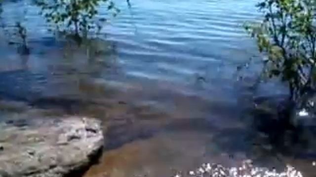 Бьянка , потап и настя - стиль собачки смотреть онлайн