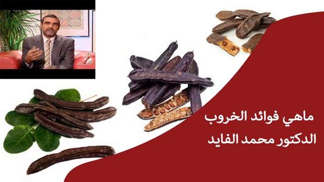 تعرف على منافع الخروب الكثيرة للجسم ✔ الدكتور محمد الفايد