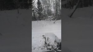 Вездеход ТДН. Движение в лесу, по колее двухмесячной давности